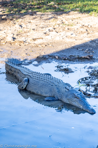 Things to do in Kakadu National Park