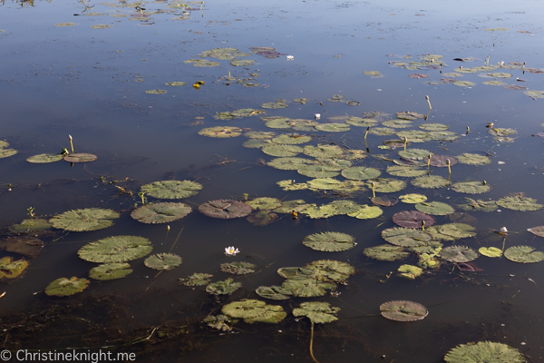 Things to do in Kakadu National Park