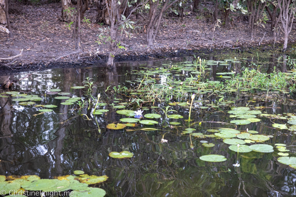 Things to do in Kakadu National Park