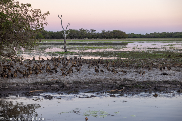 Things to do in Kakadu National Park