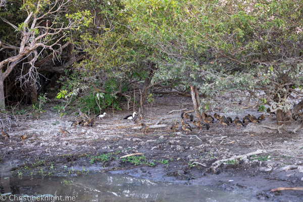 Things to do in Kakadu National Park