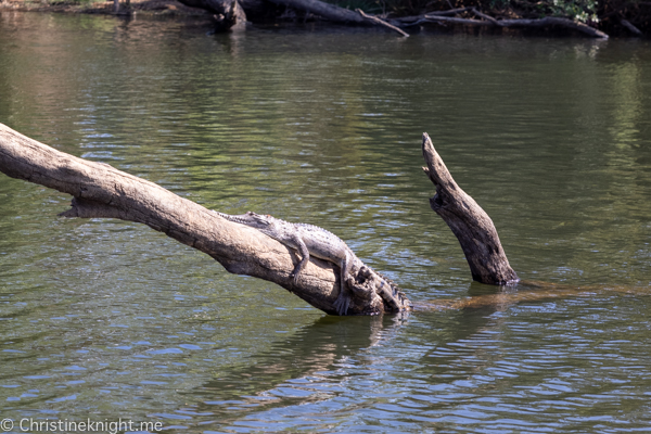 Nitmiluk Katherine Gorge