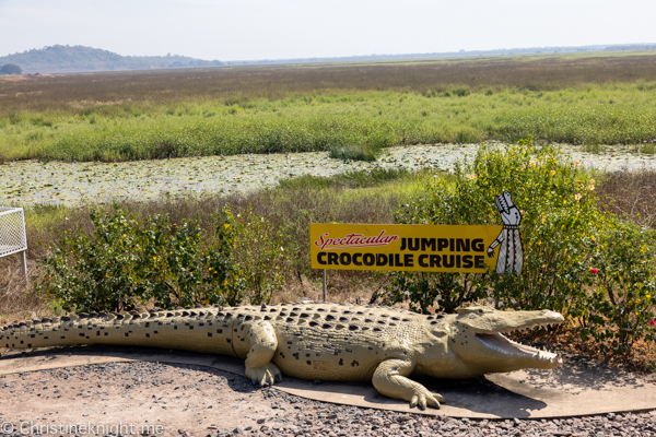 Jumping crocodile cruises