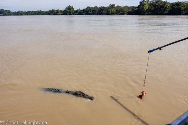 Jumping crocodile cruises