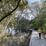 Glades Bay and Wulaba Track