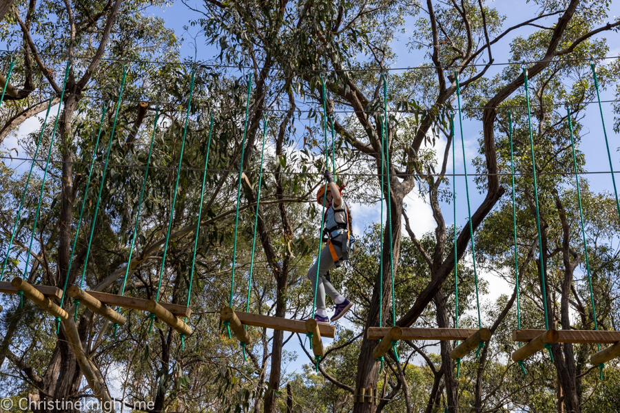 Treetops Adventure St Ives - Adventure, baby!