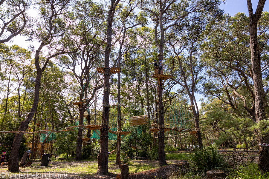 Treetops Adventure St Ives