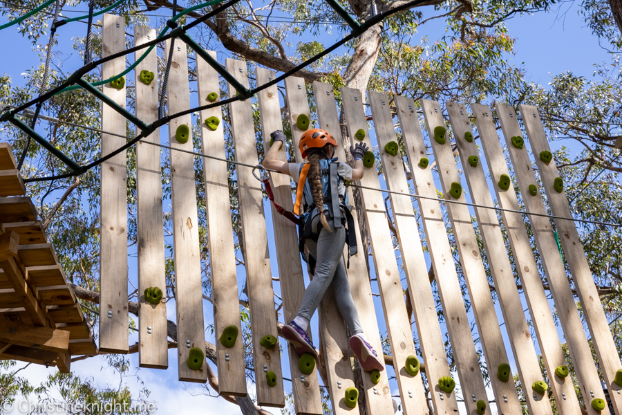 Treetops Adventure St Ives