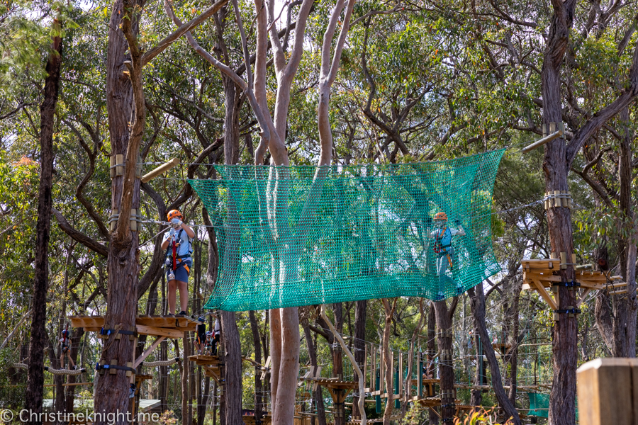 Treetops Adventure St Ives