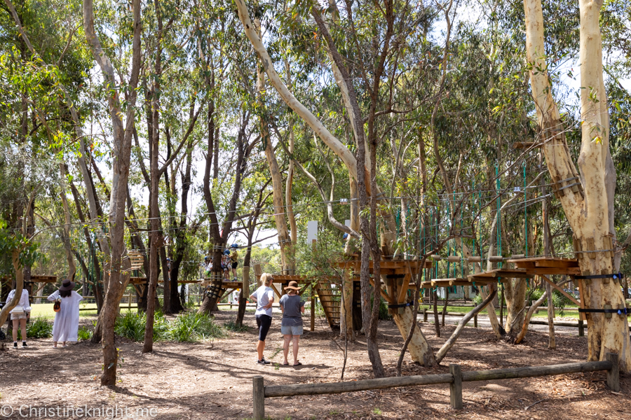 Treetops Adventure St Ives