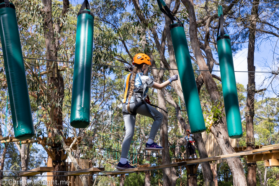 Treetops Adventure St Ives