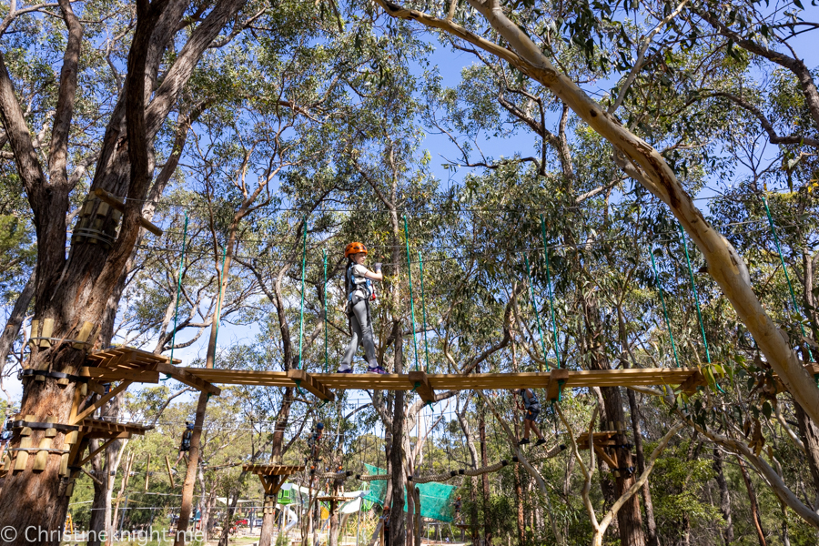 Treetops Adventure St Ives