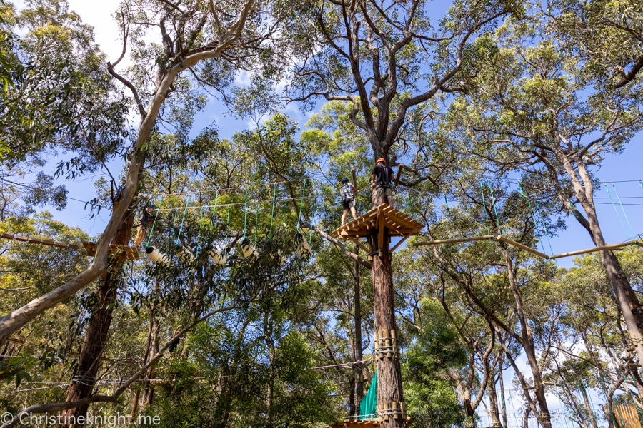 Treetops Adventure St Ives