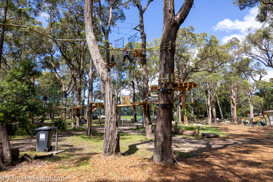 Treetops Adventure St Ives