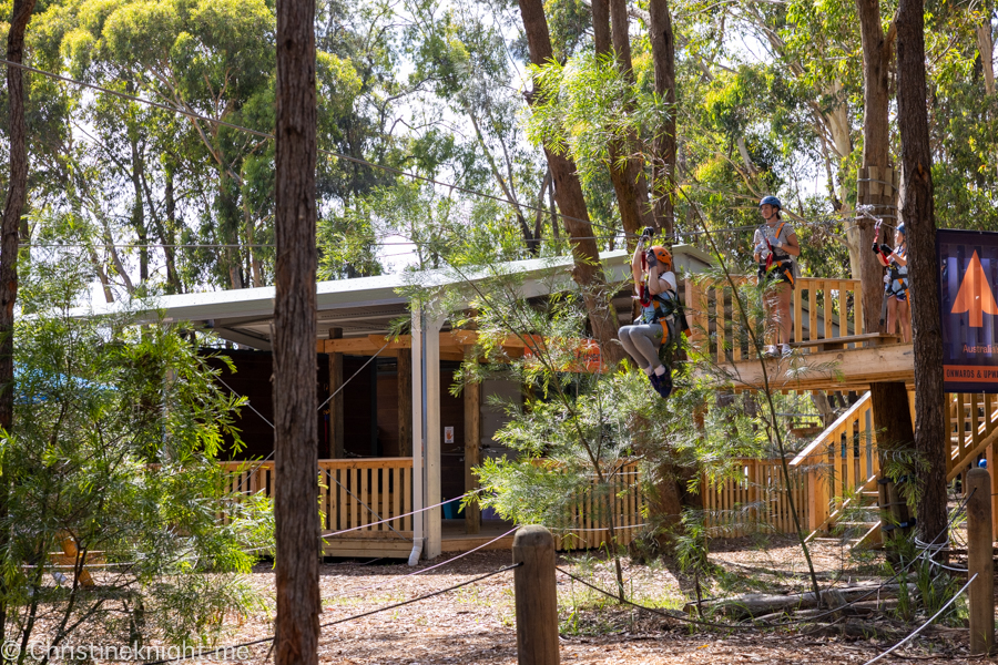 Treetops Adventure St Ives