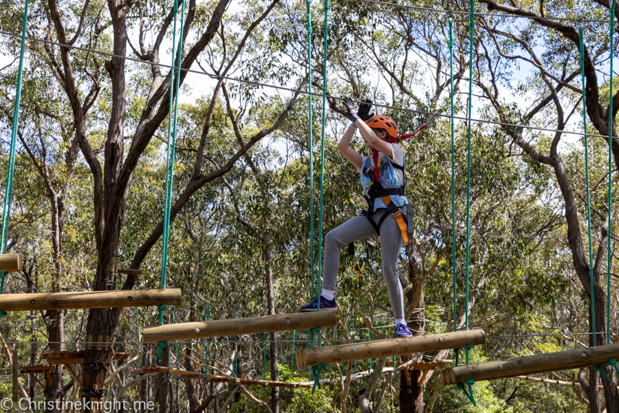 Treetops Adventure St Ives - Adventure, baby!