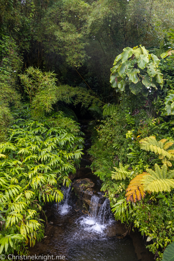 ʻAkaka Falls State Park