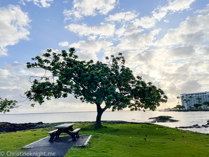 COCONUT ISLAND (MOKU OLA) IN HILO