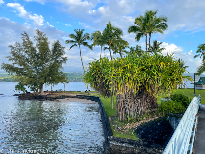 COCONUT ISLAND (MOKU OLA) IN HILO