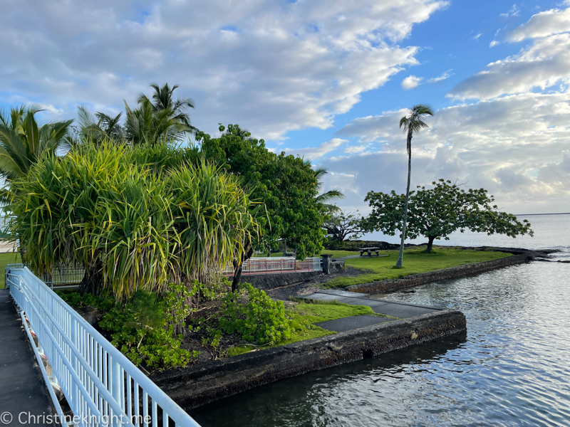 COCONUT ISLAND (MOKU OLA) IN HILO