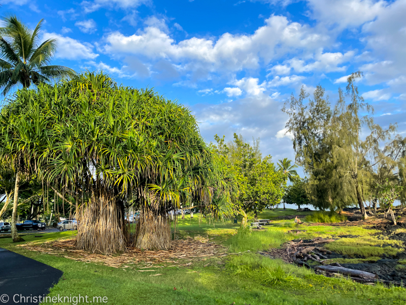 Liliʻuokalani Gardens Hilo