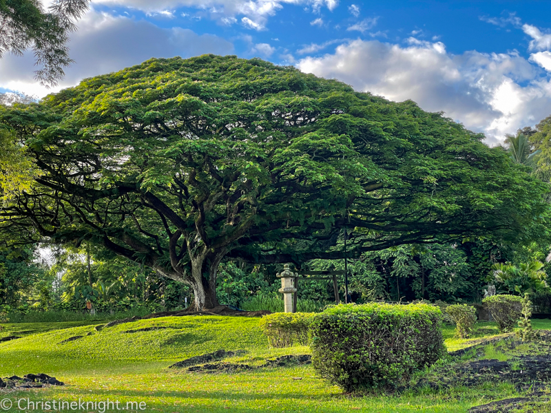 Liliʻuokalani Gardens Hilo