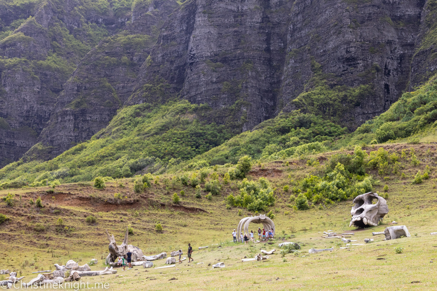 Kualoa Ranch ATV Raptor Tour Review