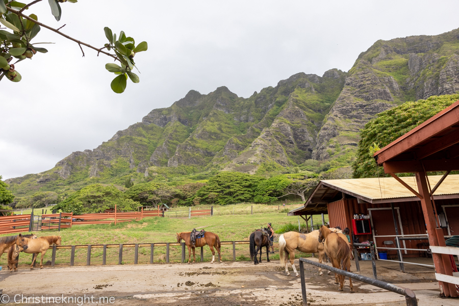 Kualoa Ranch ATV Raptor Tour Review