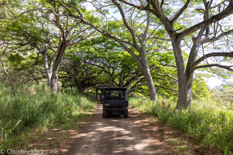 Kuloha Ranch Raptor Kualoa Ranch ATV Raptor Tour Review - Adventure, baby!