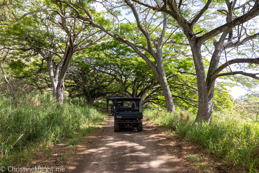 Kualoa Ranch ATV Raptor Tour Review