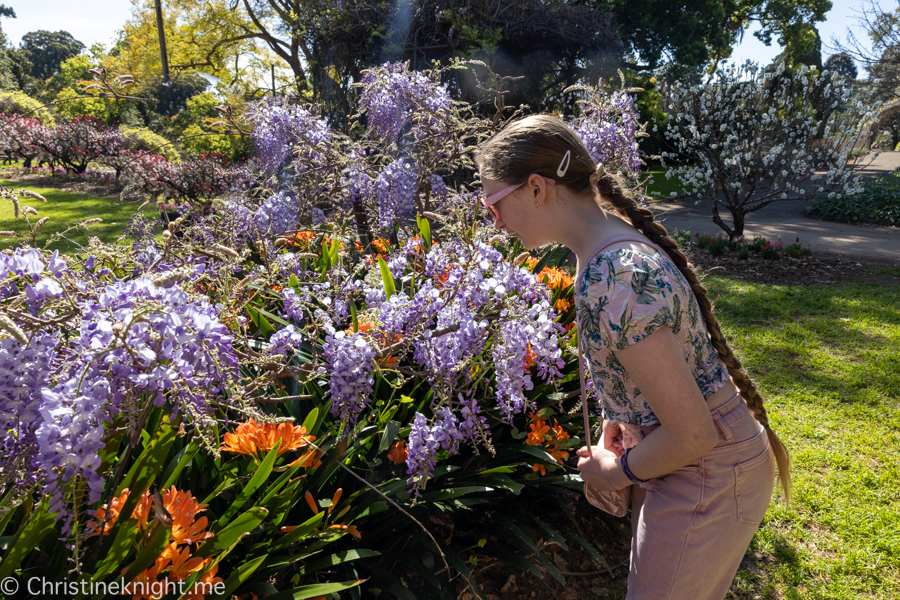 Wistaria Gardens Parramatta Park