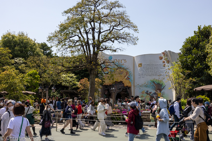 Tokyo Disneyland