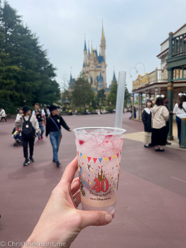 Tokyo Disneyland