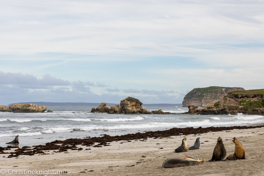 Kangaroo Island Itinerary