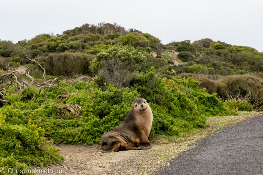 Kangaroo Island Itinerary