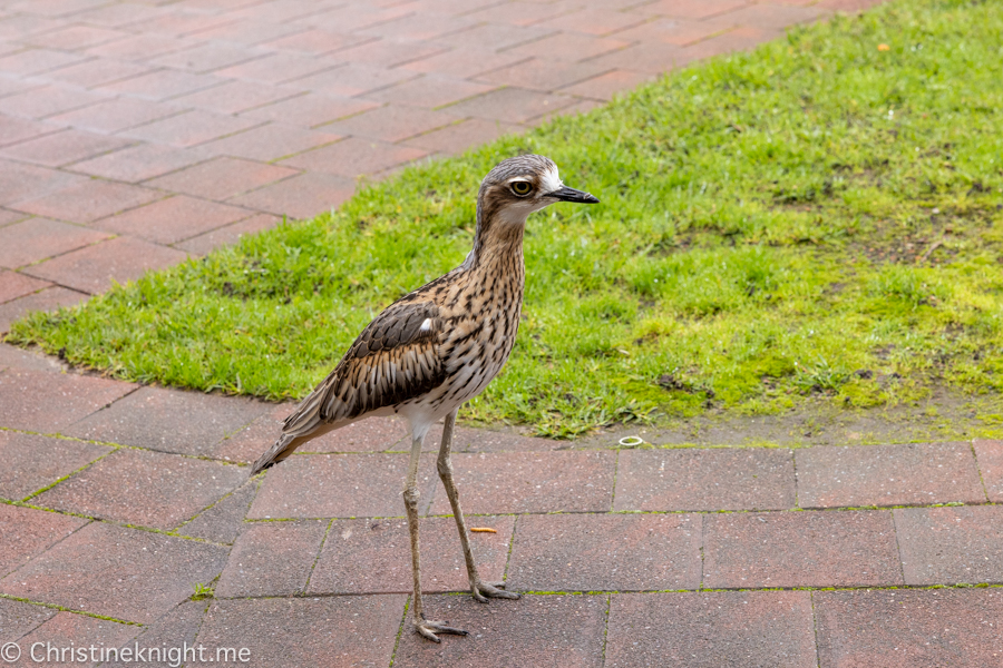 Kangaroo Island Itinerary