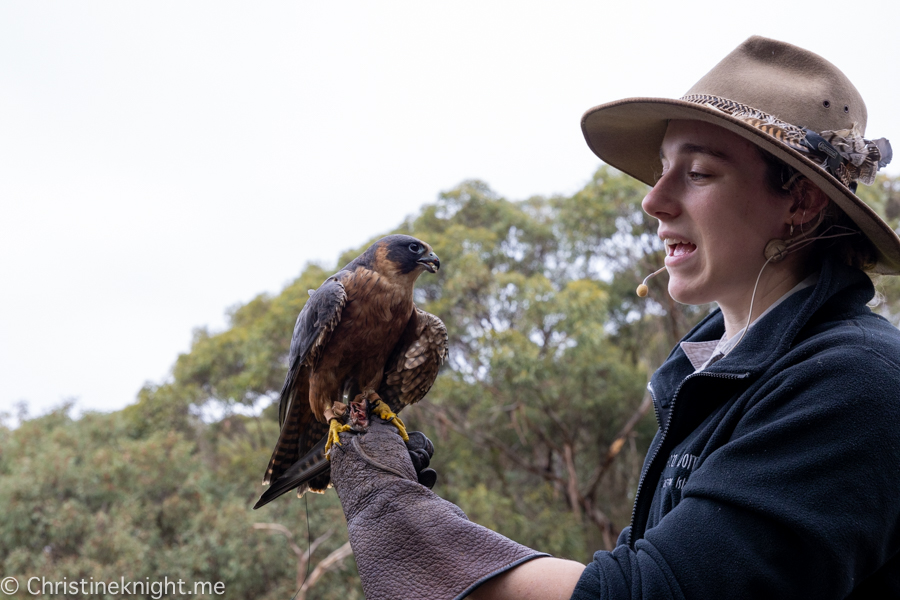 Kangaroo Island Itinerary