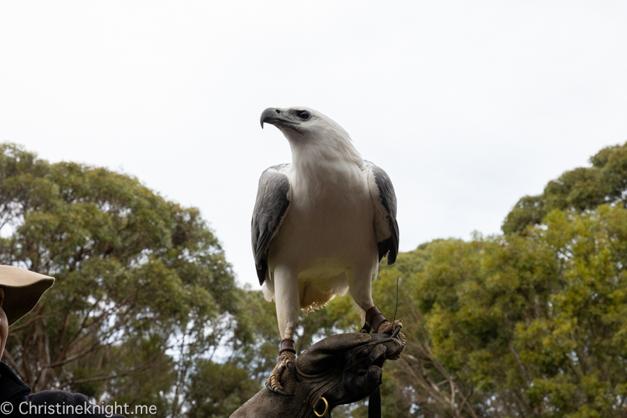 Kangaroo Island Itinerary