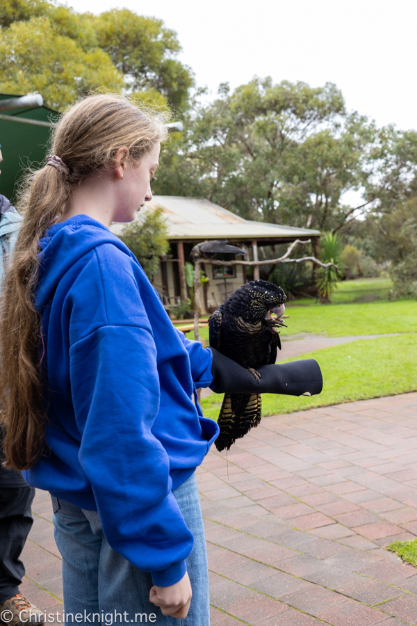 Kangaroo Island Itinerary