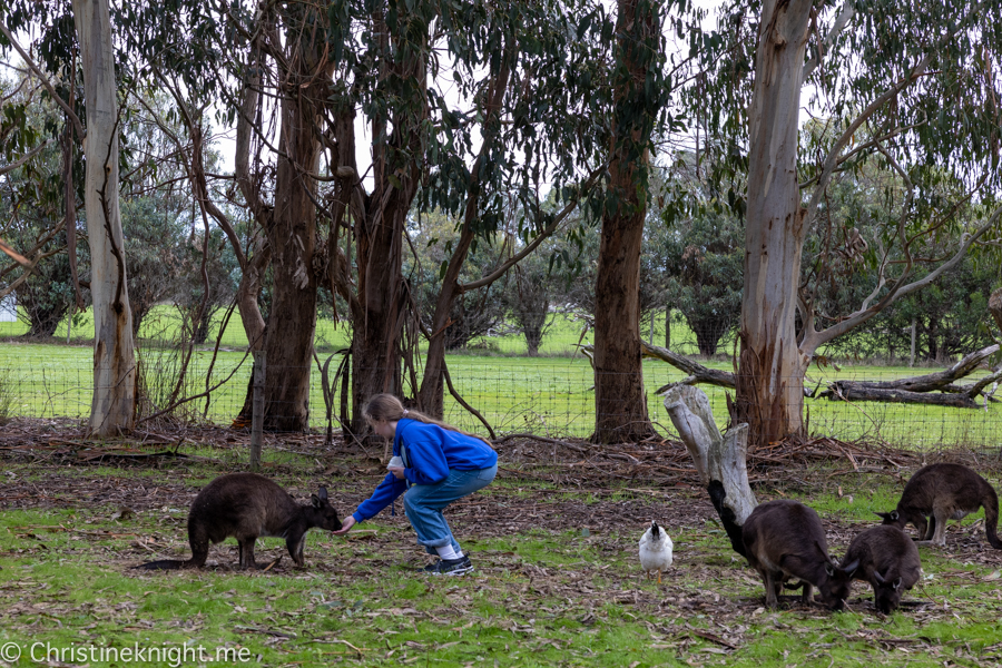 Kangaroo Island Itinerary