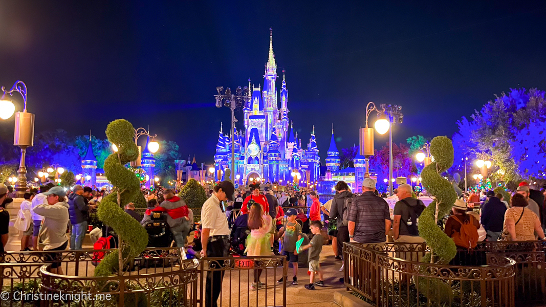 WDW Magic Kingdom Fireworks Dessert Pre Party