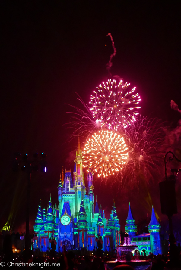 WDW Magic Kingdom Fireworks Dessert Pre Party