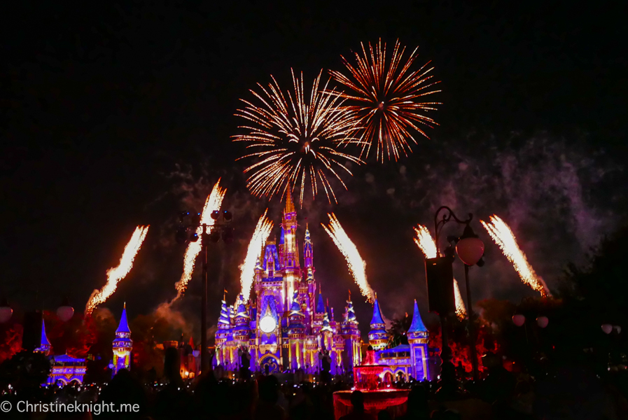 WDW Magic Kingdom Fireworks Dessert Pre Party