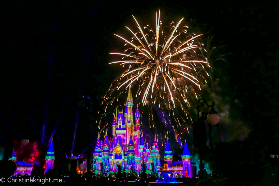 WDW Magic Kingdom Fireworks Dessert Pre Party