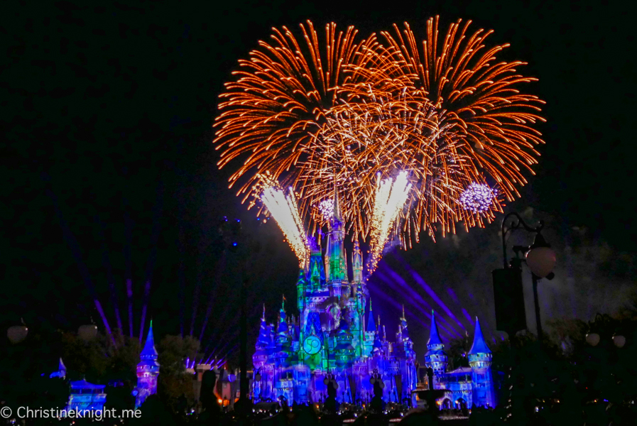 WDW Magic Kingdom Fireworks Dessert Pre Party