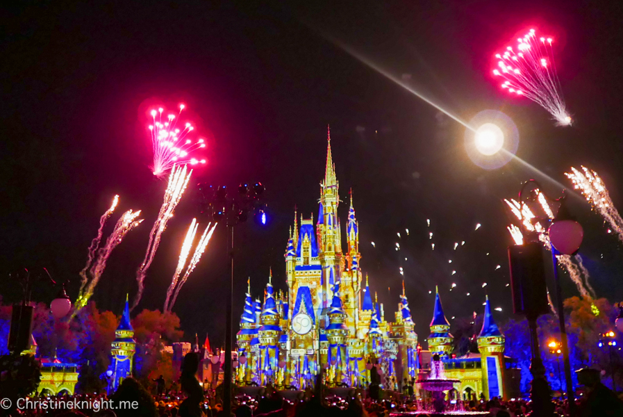 WDW Magic Kingdom Fireworks Dessert Pre Party