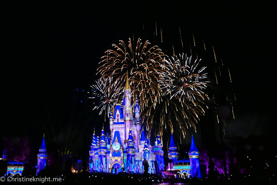 WDW Magic Kingdom Fireworks Dessert Pre Party