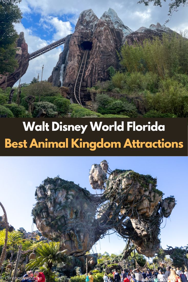 Walt Disney World Best Animal Kingdom Attractions