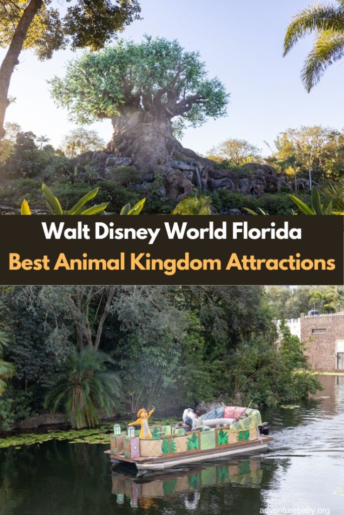 Best Attractions at Animal Kingdom, Walt Disney World Resort