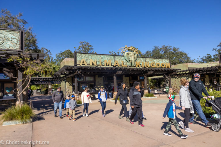 Best Attractions at Animal Kingdom, Walt Disney World Resort Best attractions at animal kingdom